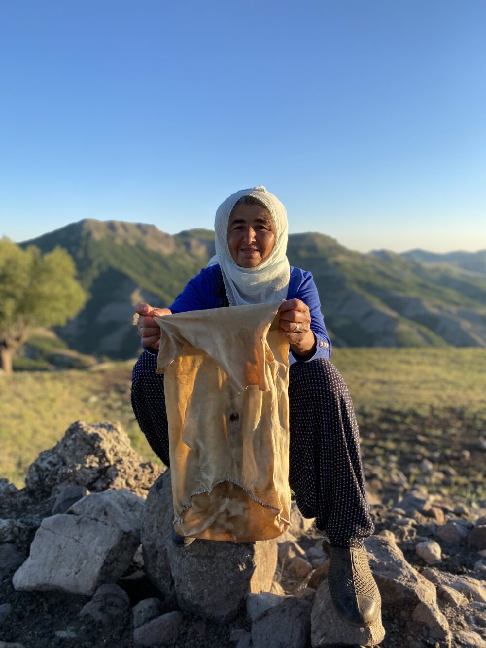 Anux Peynirleri